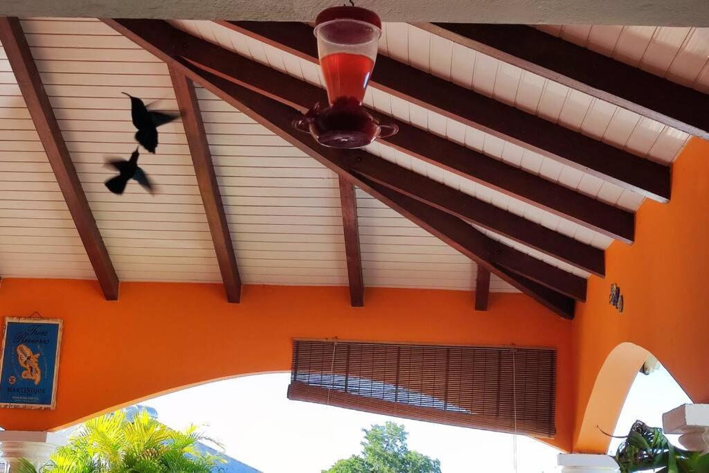 Villa Anolis, Sainte Luce, Piscine, Vue Mer, 4* Sainte-Luce Exterior foto